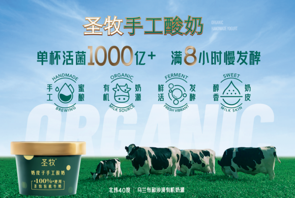 mmexport99a3f89f52048a652643515cb1d46326_1744992552550.png
